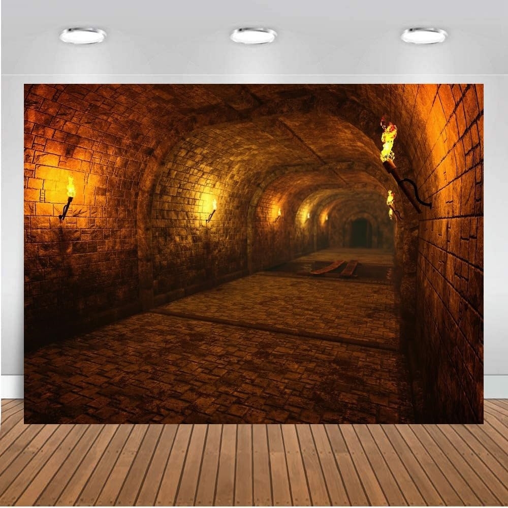 Dark Medieval Castle Dungeon T - Photography Dark Cloth ulasan dan harga