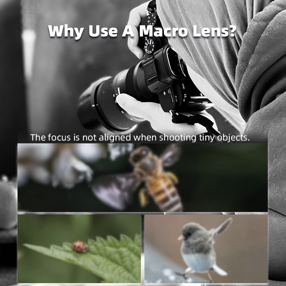 Lensa Makro Magnetik BRDRC unt - Photography Close Up ulasan dan harga