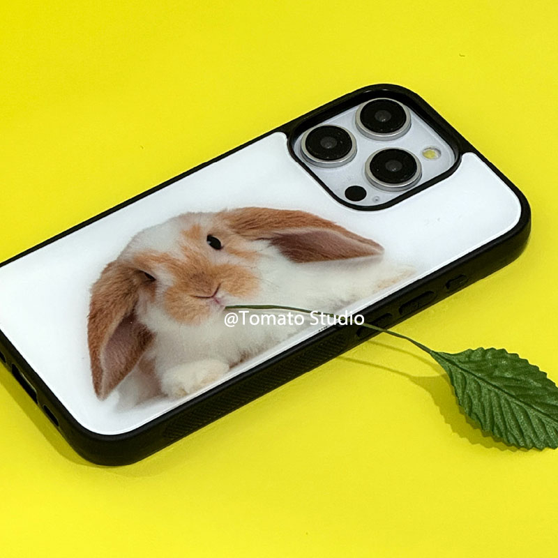 Casing HP Niche Animal Photogr - Photography With Iphone 15 ulasan dan harga